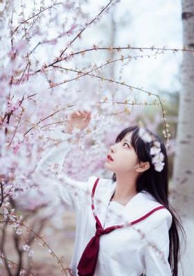 绞杀1943 电视剧免费观看